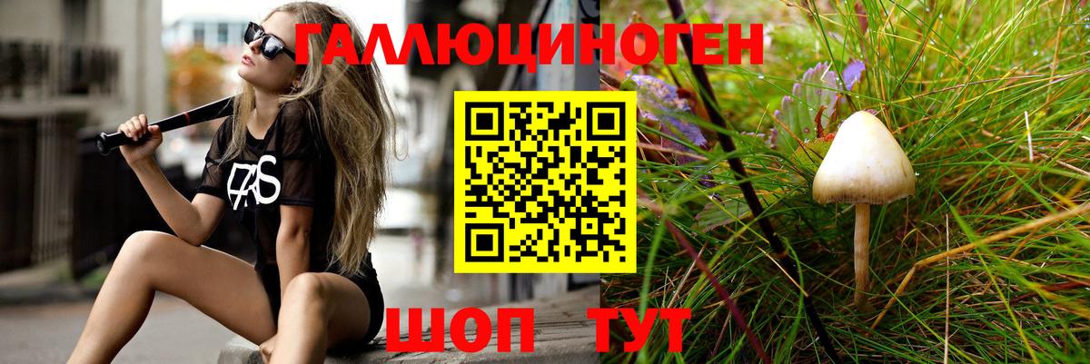 Сосновый Бор  Псилоцибиновые грибы прущие грибы  Вход с VPN 